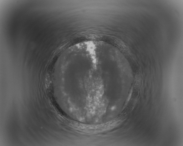 X0000082740043200702161944