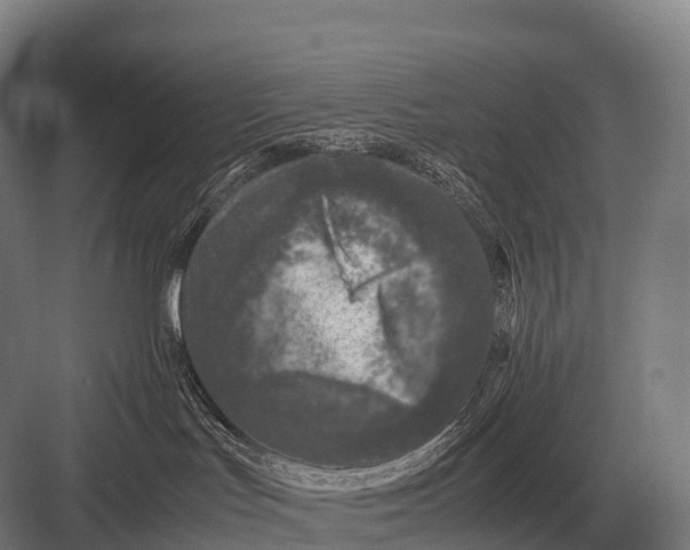 X0000082740047200702161944