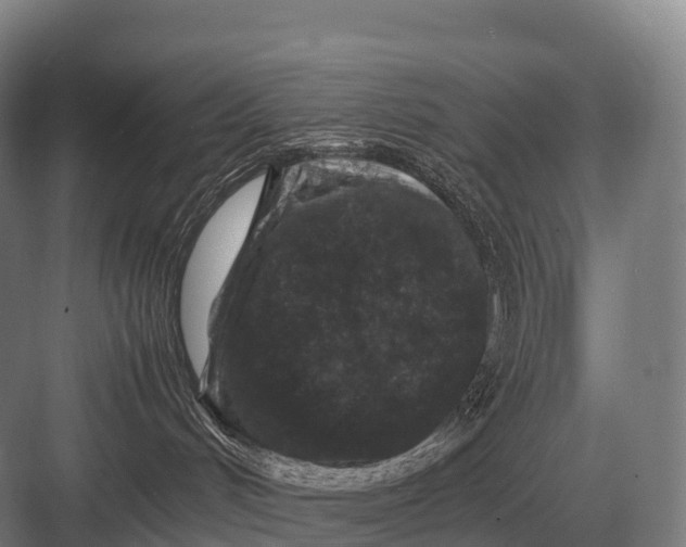 X0000082740048200702161944