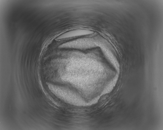 X0000082740049200702161943