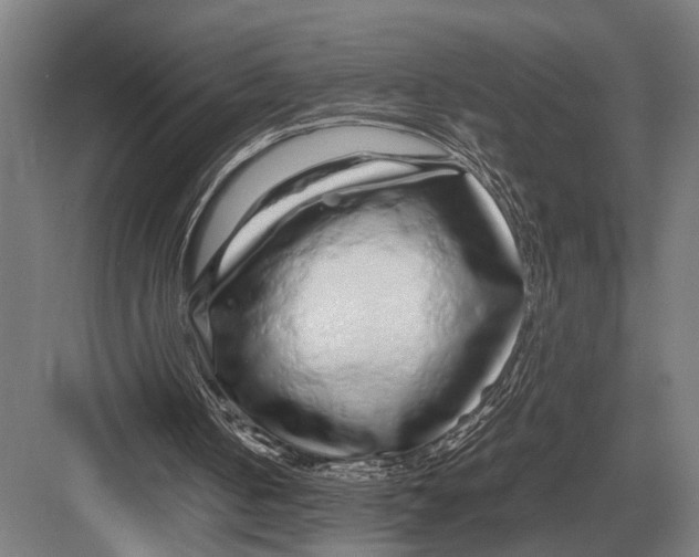 X0000082740050200702161943