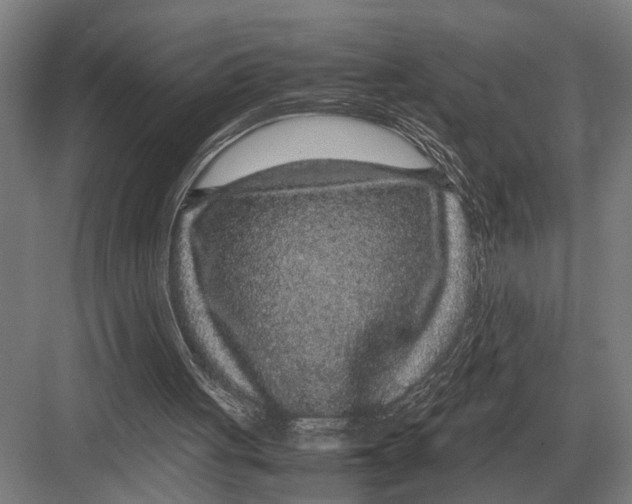 X0000082740051200702161943