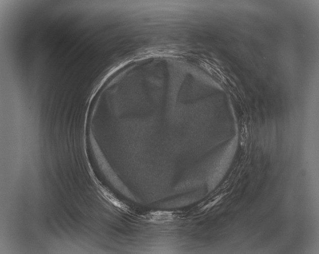 X0000082740052200702161943