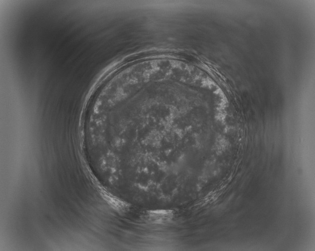 X0000082740053200702161943