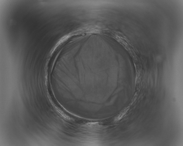 X0000082740054200702161943