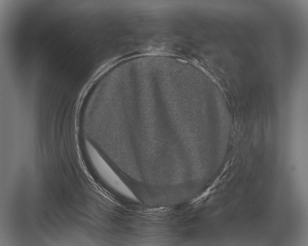 X0000082740055200702161943