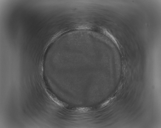 X0000082740059200702161943