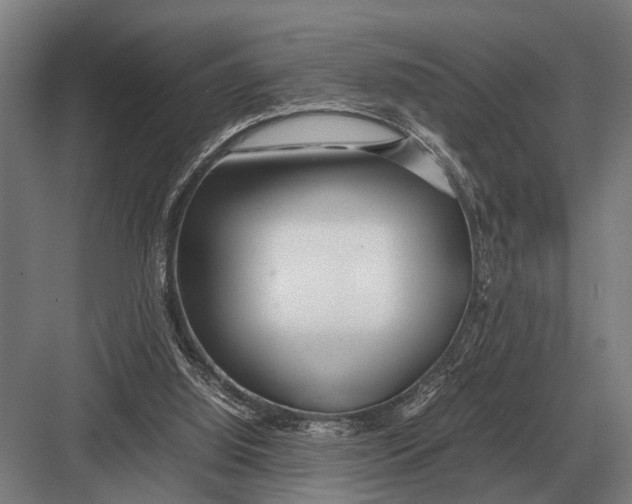 X0000082740060200702161943