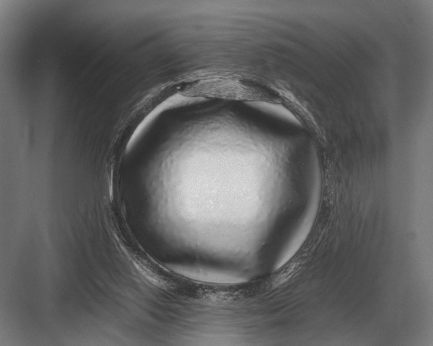 X0000082740062200702161944