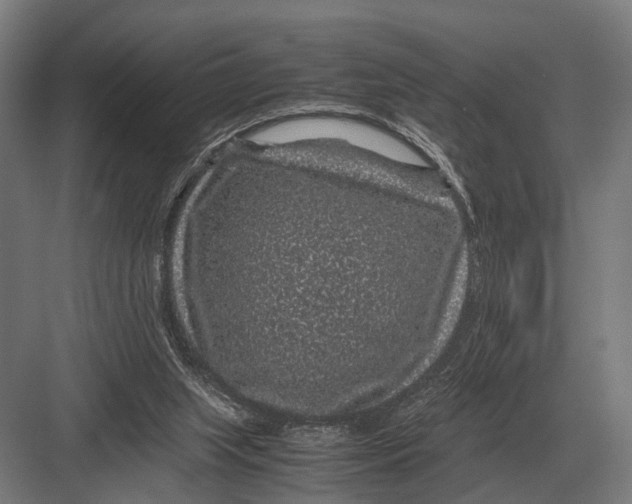 X0000082740063200702161944