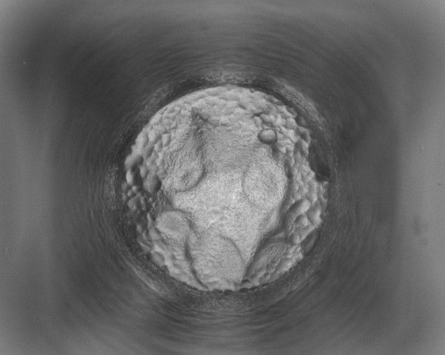 X0000082740065200702161944