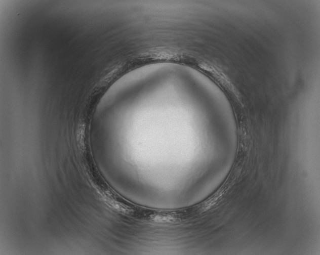 X0000082740066200702161944