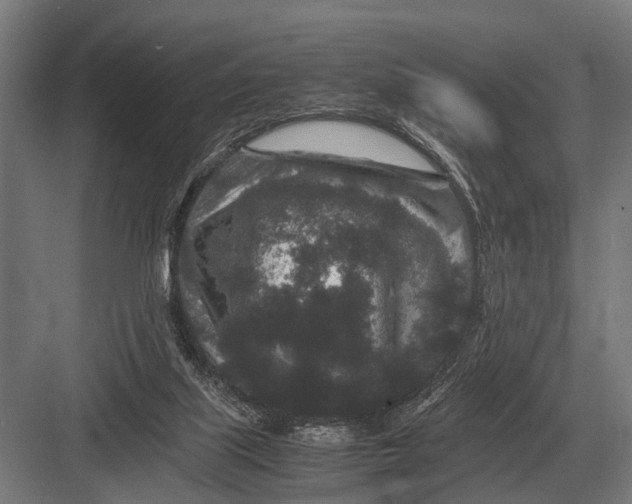 X0000082740067200702161944