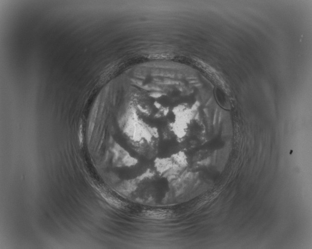 X0000082740069200702161944