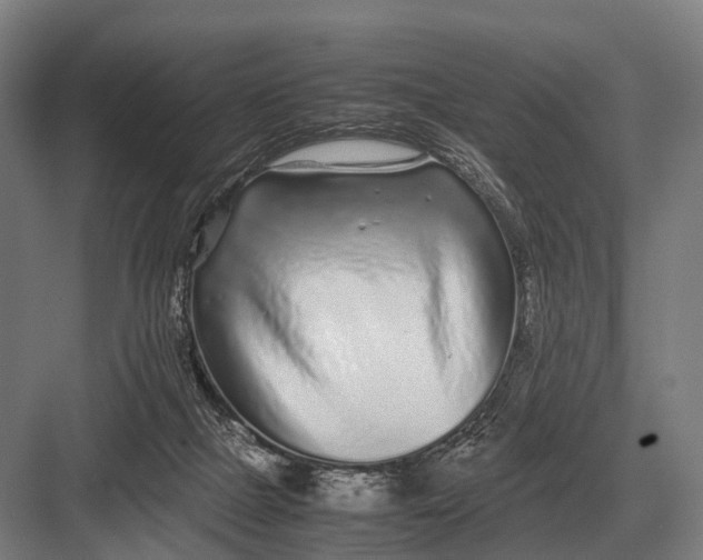 X0000082740073200702161944