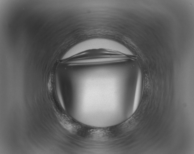 X0000082740074200702161944