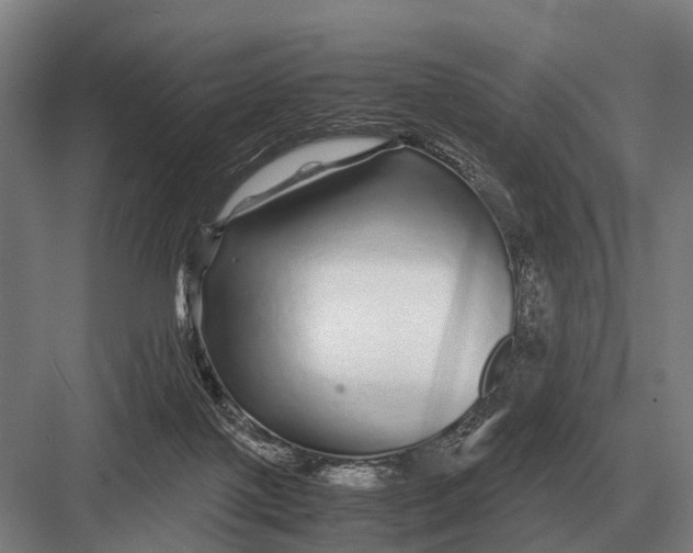 X0000082740075200702161944