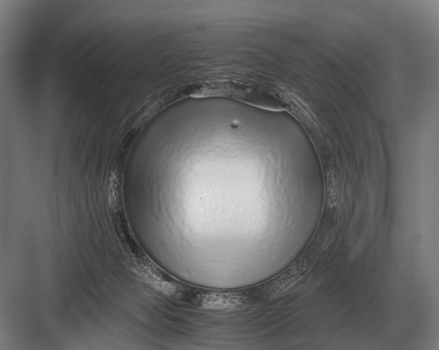 X0000082740077200702161944