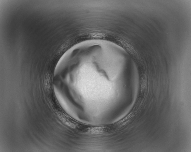 X0000082740078200702161944