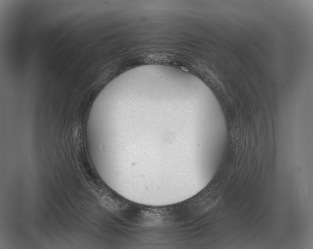 X0000082740079200702161944