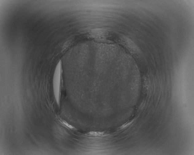 X0000082740080200702161944