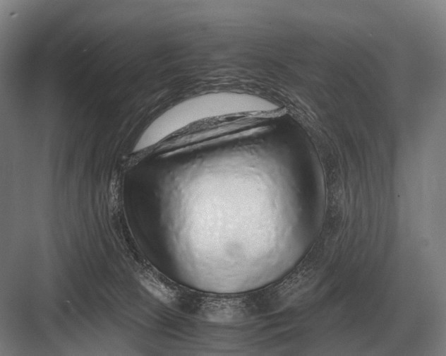 X0000082740081200702161944