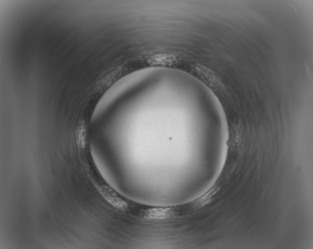 X0000082740090200702161944