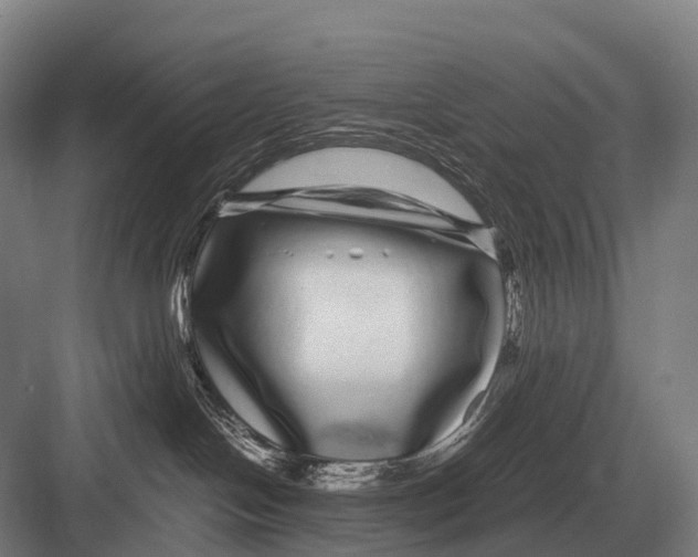 X0000082740094200702161944