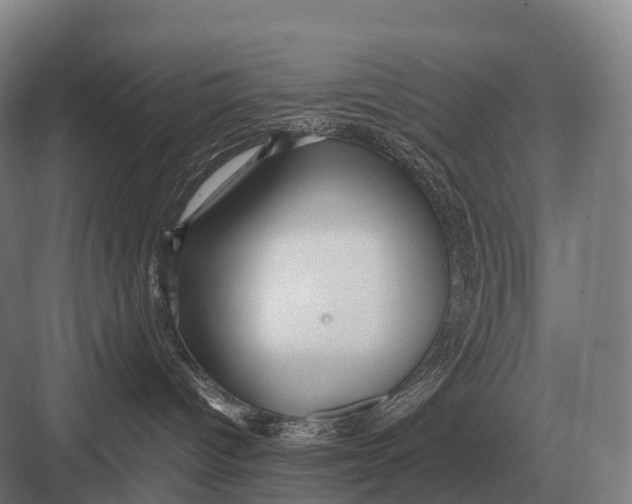 X0000082740096200702161944