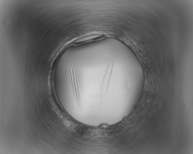 X0000082740098200702161943