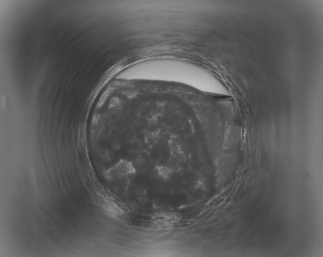 X0000082740099200702161943