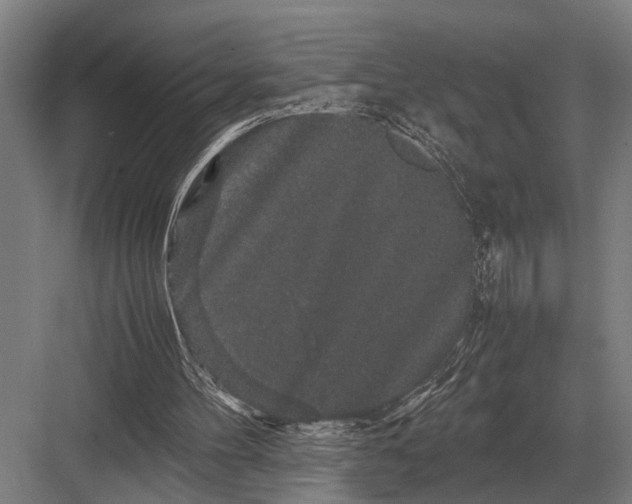 X0000082740100200702161943