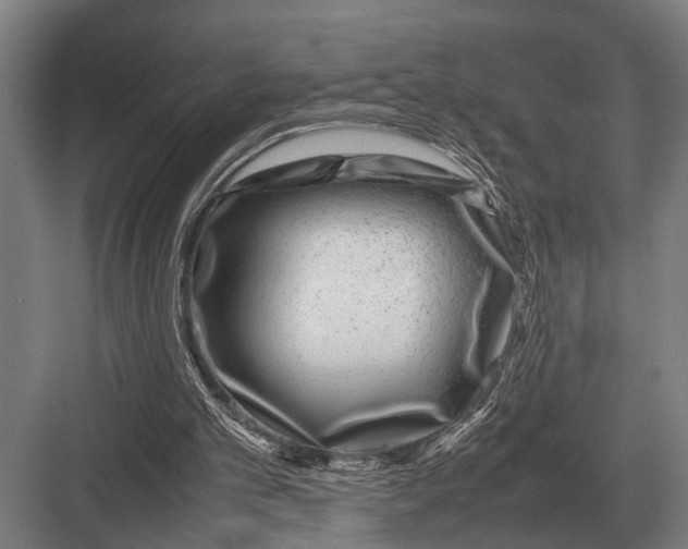 X0000082740101200702161943