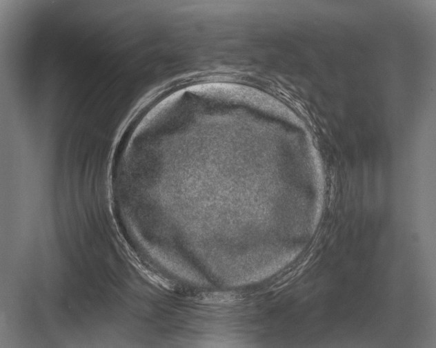 X0000082740102200702161943