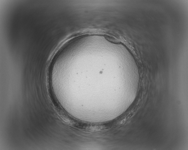 X0000082740103200702161943