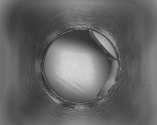 X0000082740105200702161943