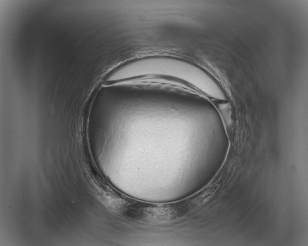 X0000082740107200702161943