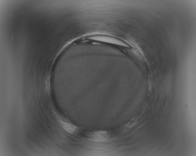 X0000082740108200702161943