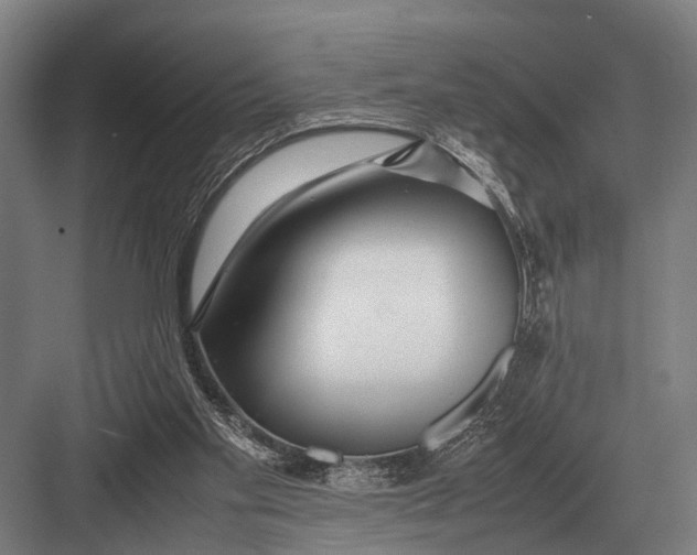 X0000082740109200702161943