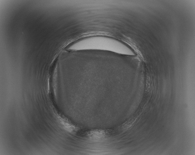 X0000082740110200702161943