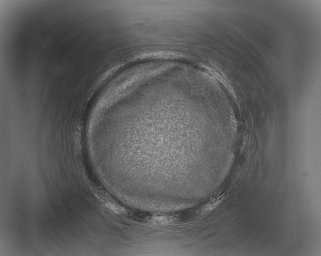 X0000082740111200702161943