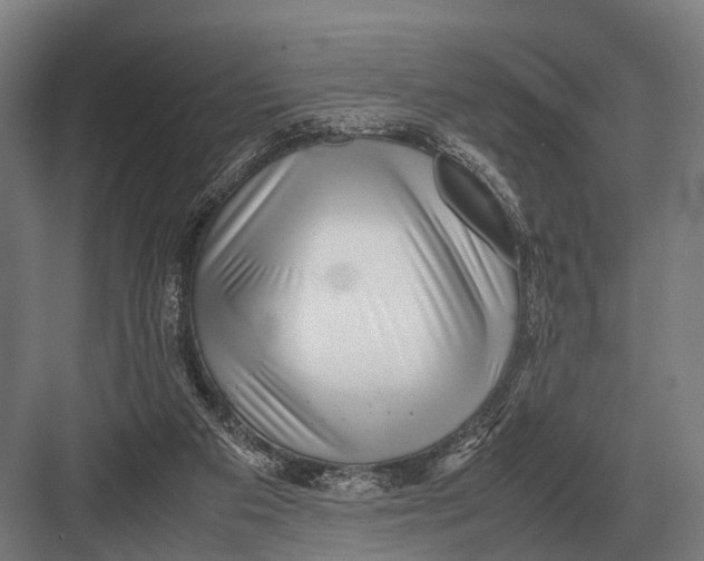 X0000082740113200702161943