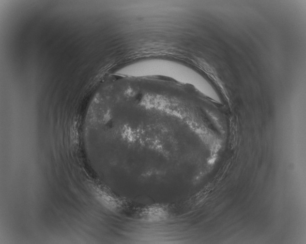 X0000082740114200702161943