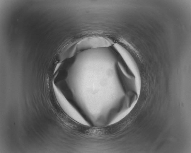 X0000082740117200702161943