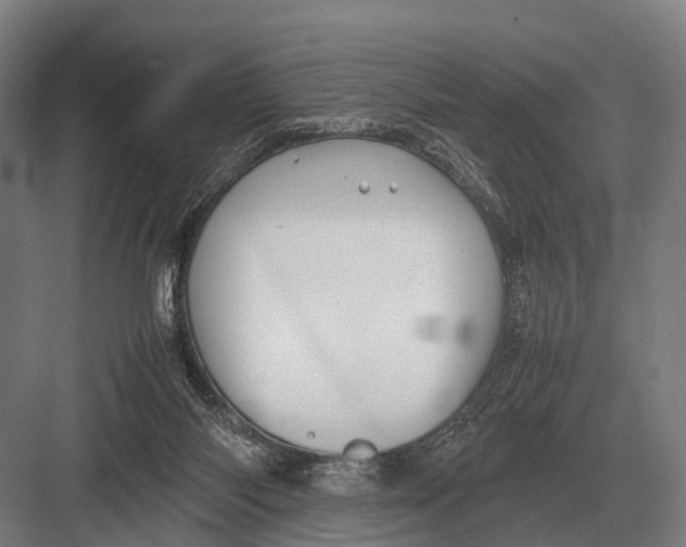 X0000082740118200702161943