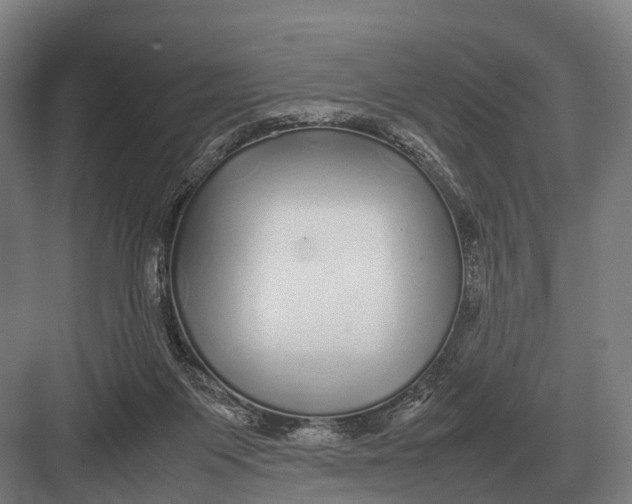 X0000082740119200702161943