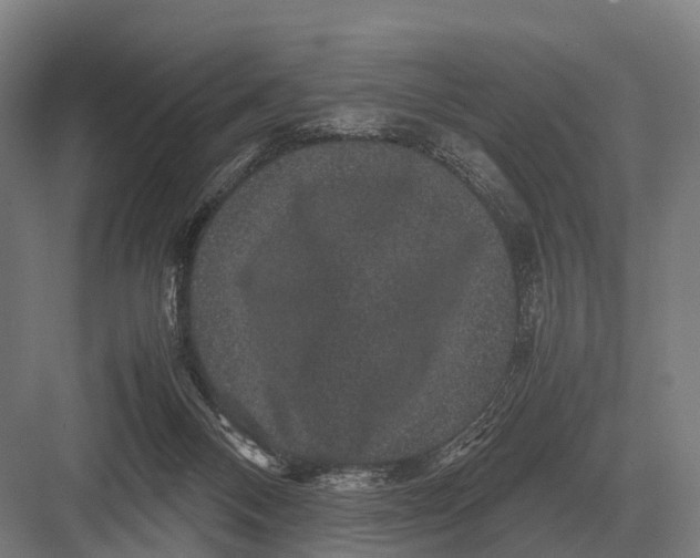 X0000082740120200702161943