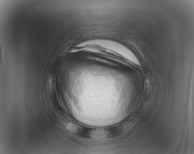 X0000082740123200702161943