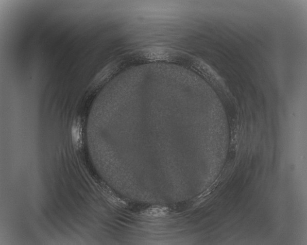 X0000082740124200702161943