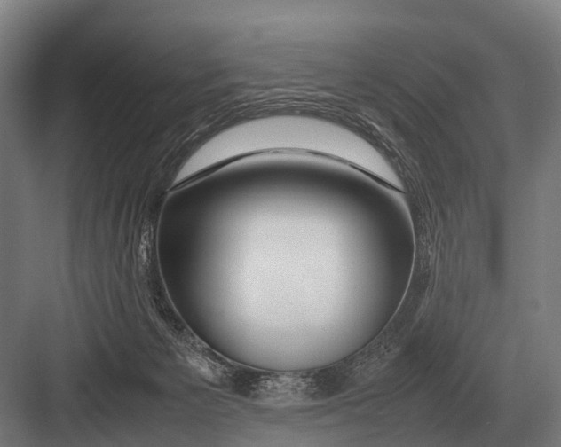 X0000082740125200702161943